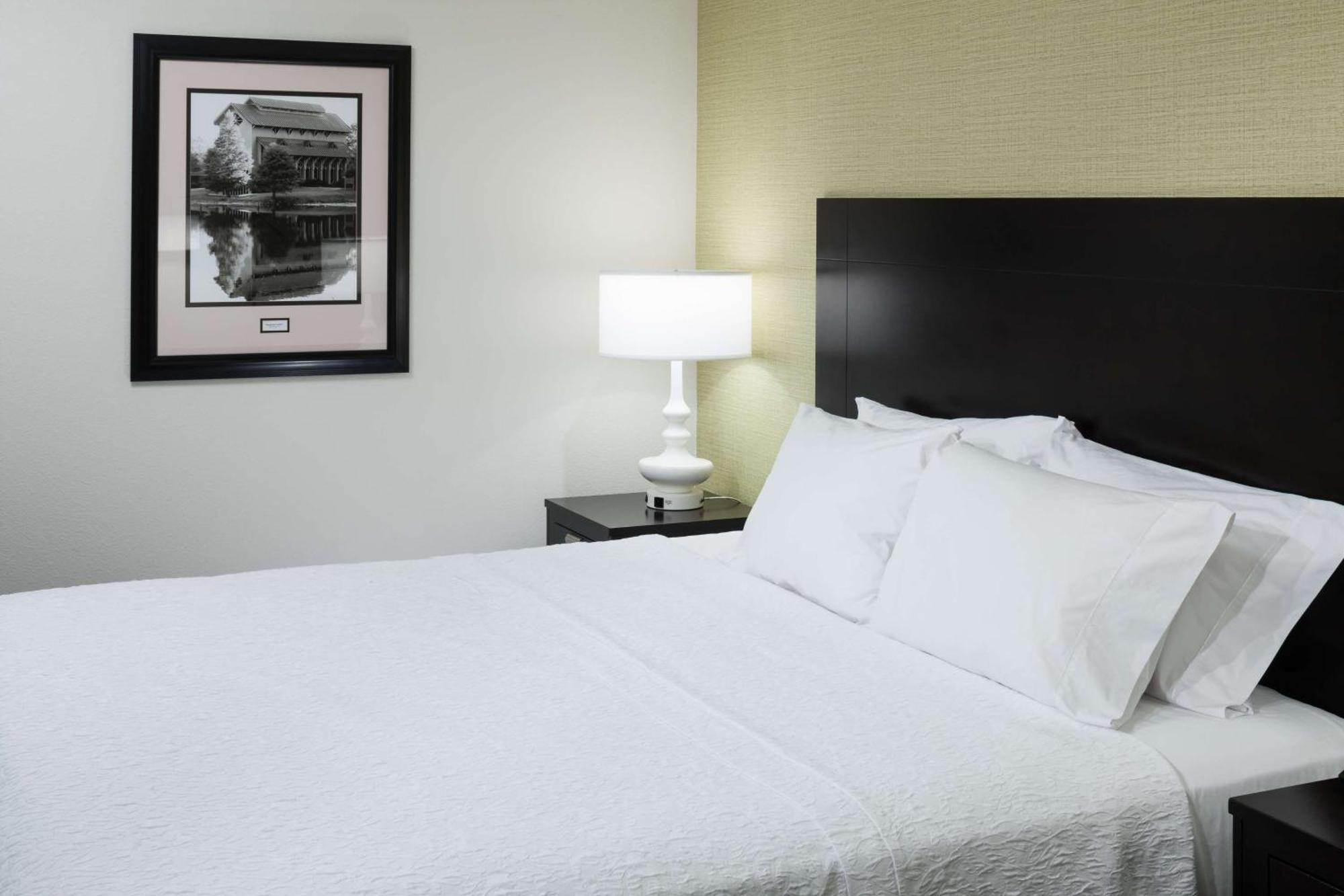 Hampton Inn & Suites Gainesville Downtown Esterno foto